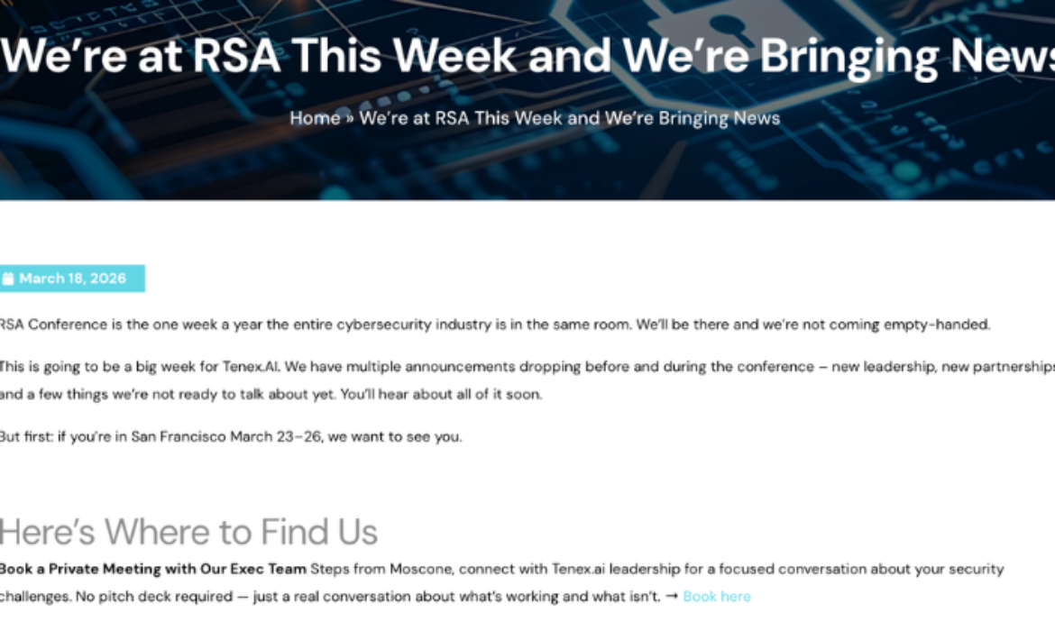 Website Preview Size